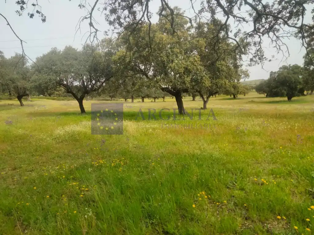Casa o chalet en venta en Malpartida de Plasencia