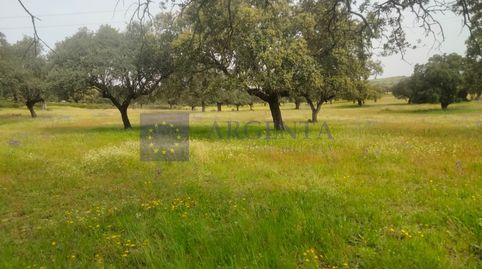 Foto 4 de Casa o chalet en venta en Malpartida de Plasencia, Cáceres