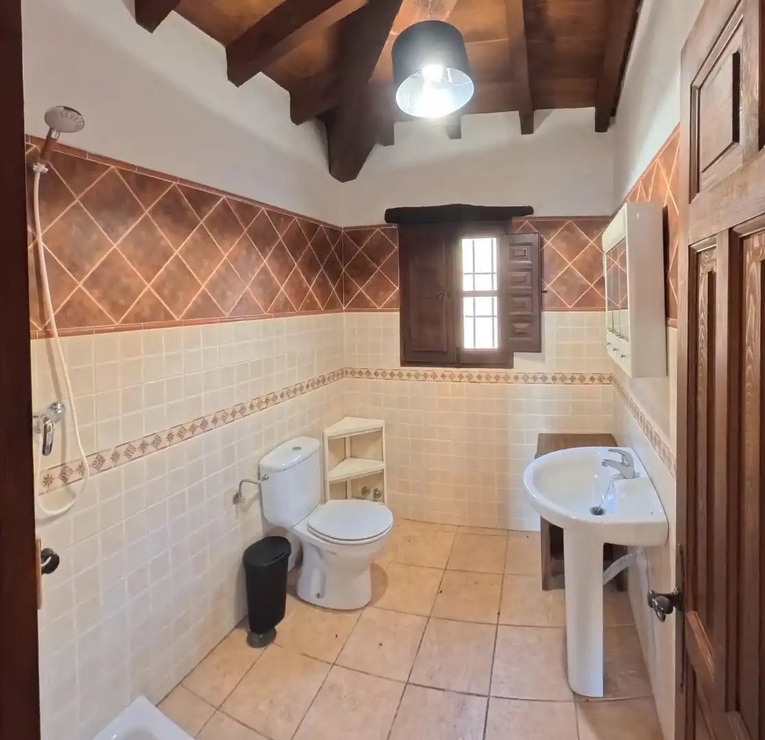 Casa rústica con jardín en alquiler en Almáchar, imagen 6