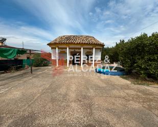 Exterior view of House or chalet for sale in Palma del Río  with Private garden and Storage room