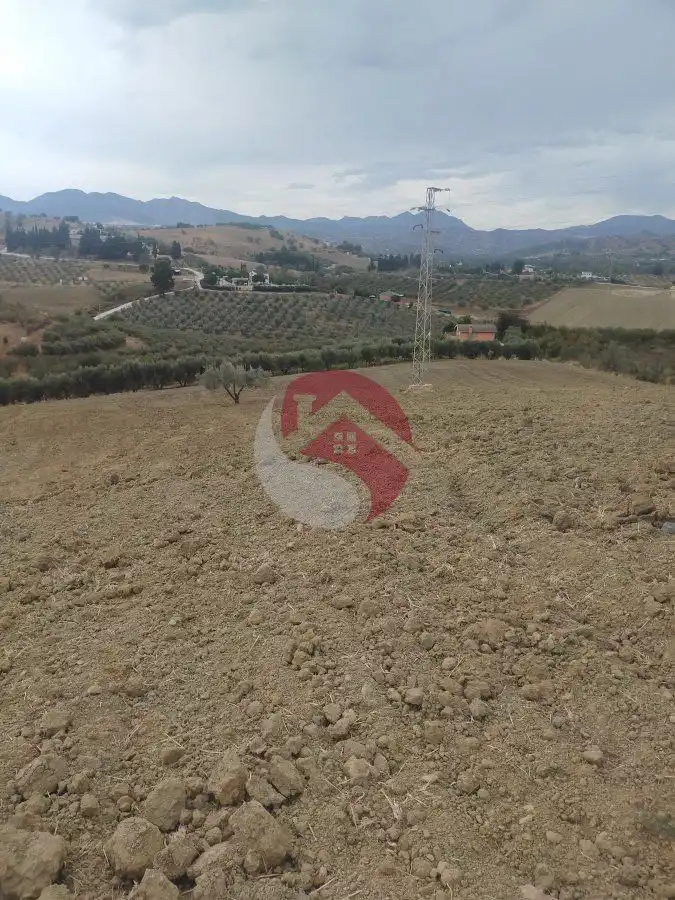Terreno rústico en venta en Alquería - Torrealquería, imagen 4