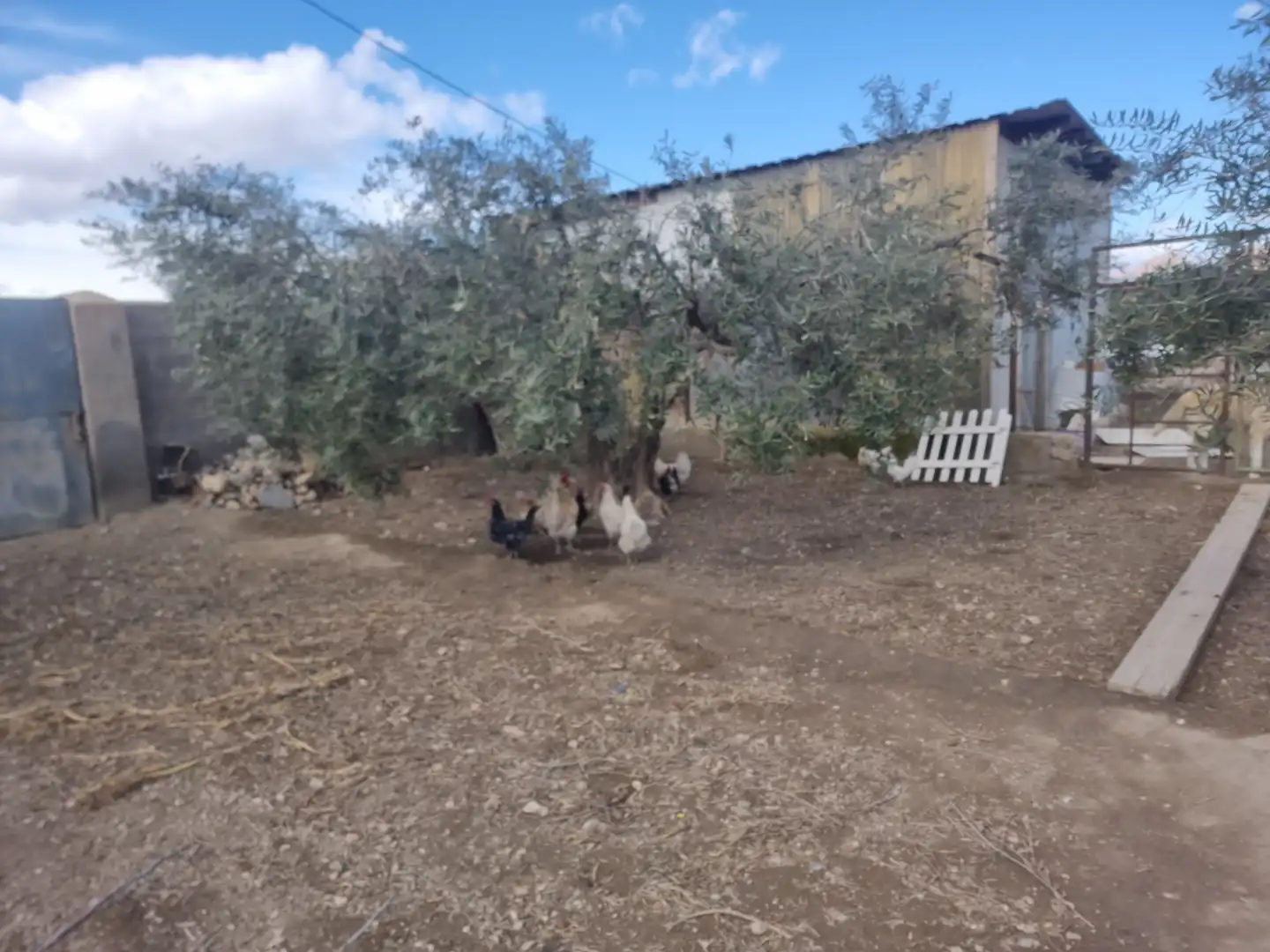Finca rústica en venta en Pechina con Aire acondicionado, Calefacción y Jardín privado