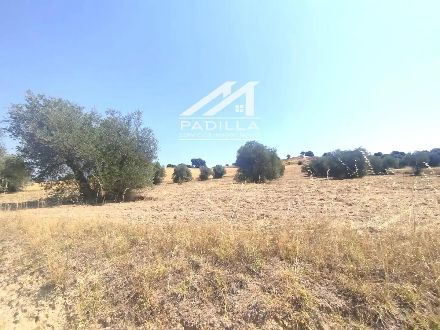 Terrain rustique à vendre à N/A, imagen 9