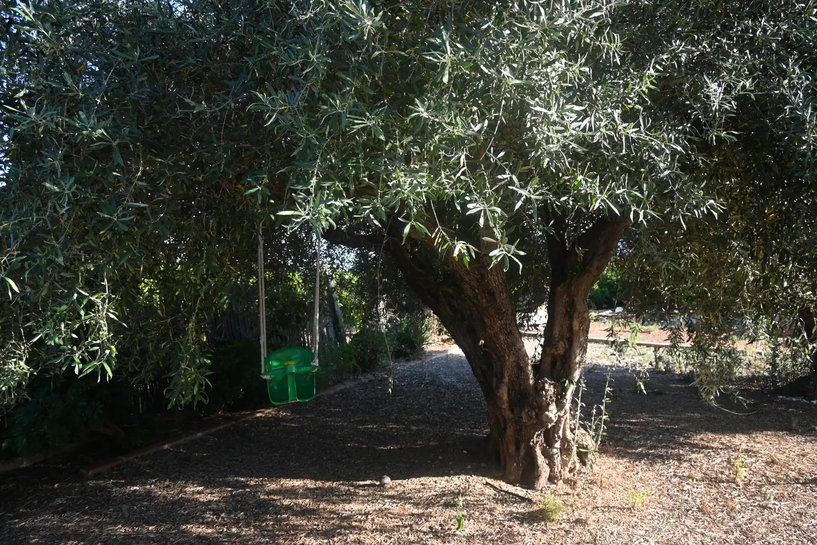 Jardí de Casa o xalet en venda en Betxí amb Jardí privat, Terrassa i Piscina