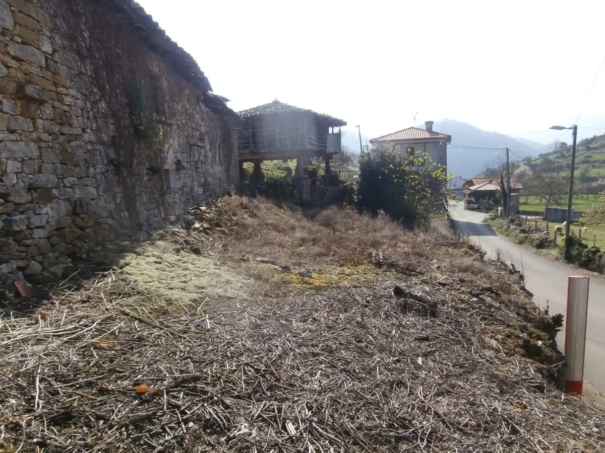 Maison à vendre à Grado, imagen 15