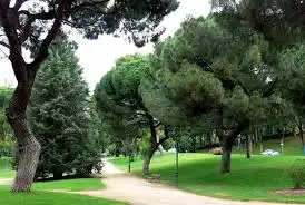 Vista exterior de Apartamento de alquiler en Madrid con Aire acondicionado, Calefacción y Parquet