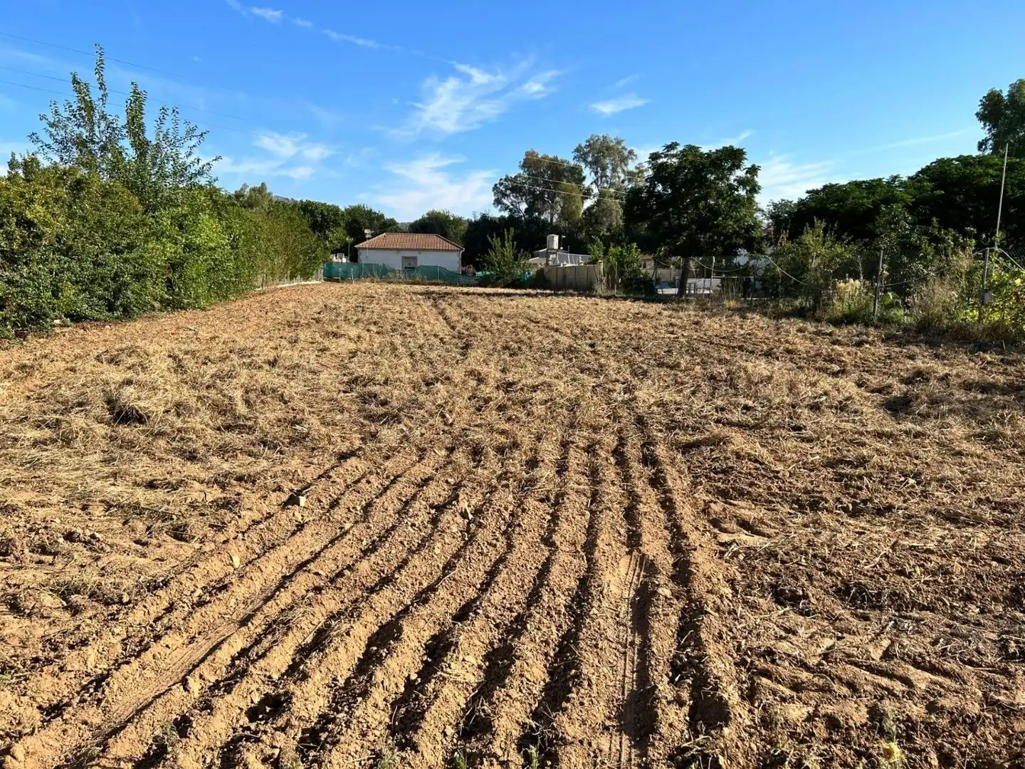 Terreny rústic en venda a Almodóvar del Río, imagen 6