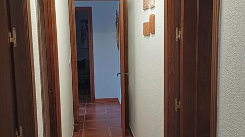 Photo 4 of Houses for sale in Los Gallos, Chiclana de la Frontera