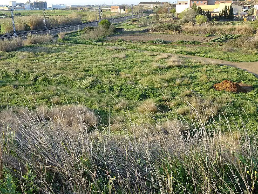 Terreni e lotti in vendita a Avenida Zaragoza, imagen 8