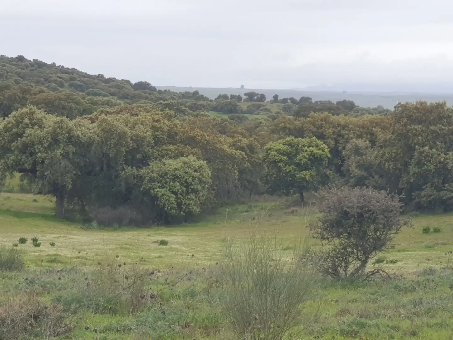 Terreni e lotti in vendita a Parque de la Constitución 5a, imagen 14