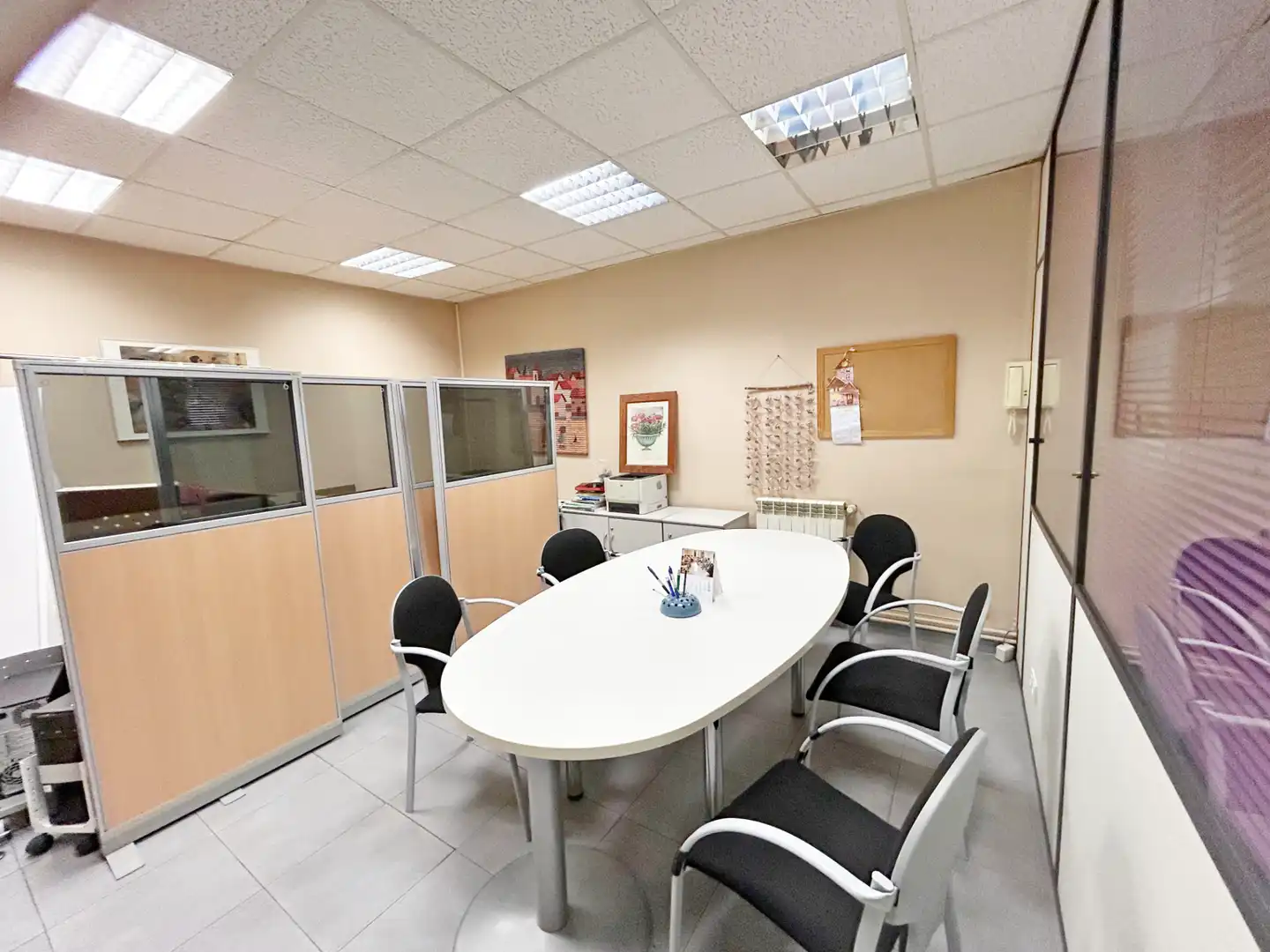Business premises for sale in Zapatari Kalea, imagen 15