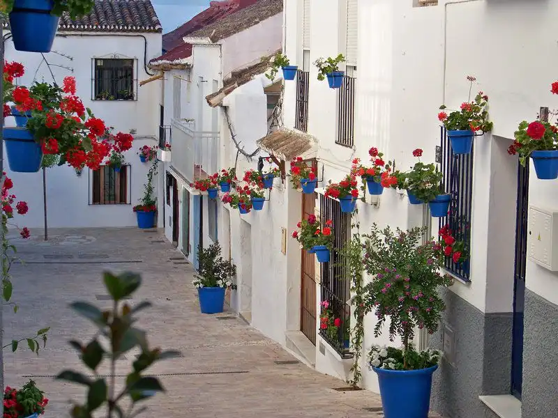 Immobles singulars en venda a Estepona Pueblo, imagen 28