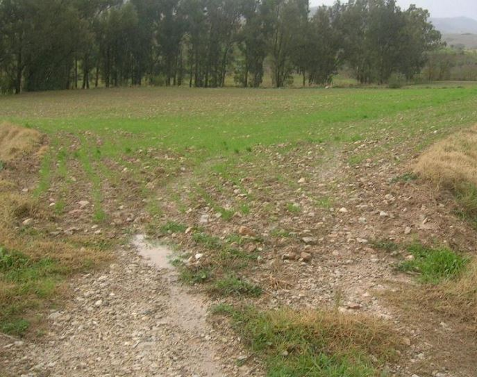 Residencial en venda en Algámitas