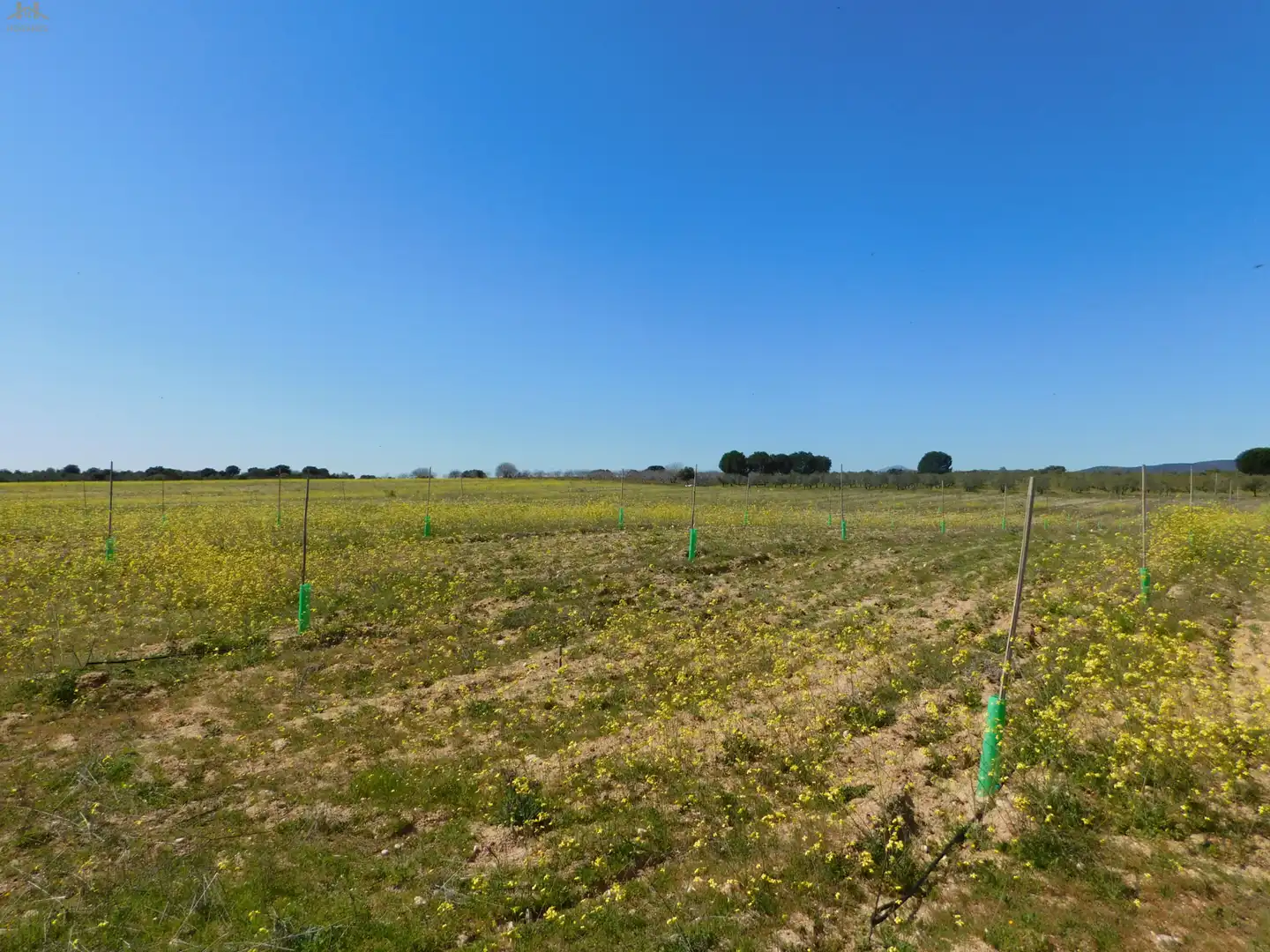 Terreno en venta en Villa del Prado