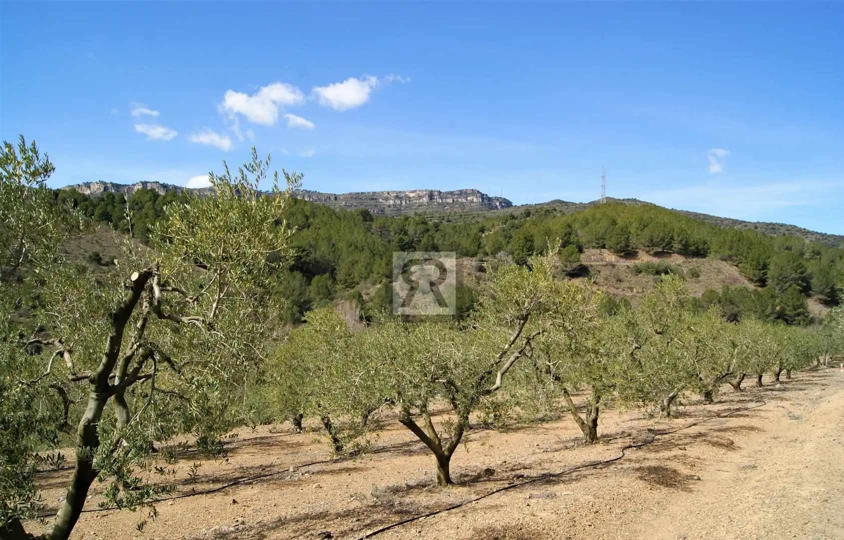 Terreno en venta en T-313, 5, Duesaigües