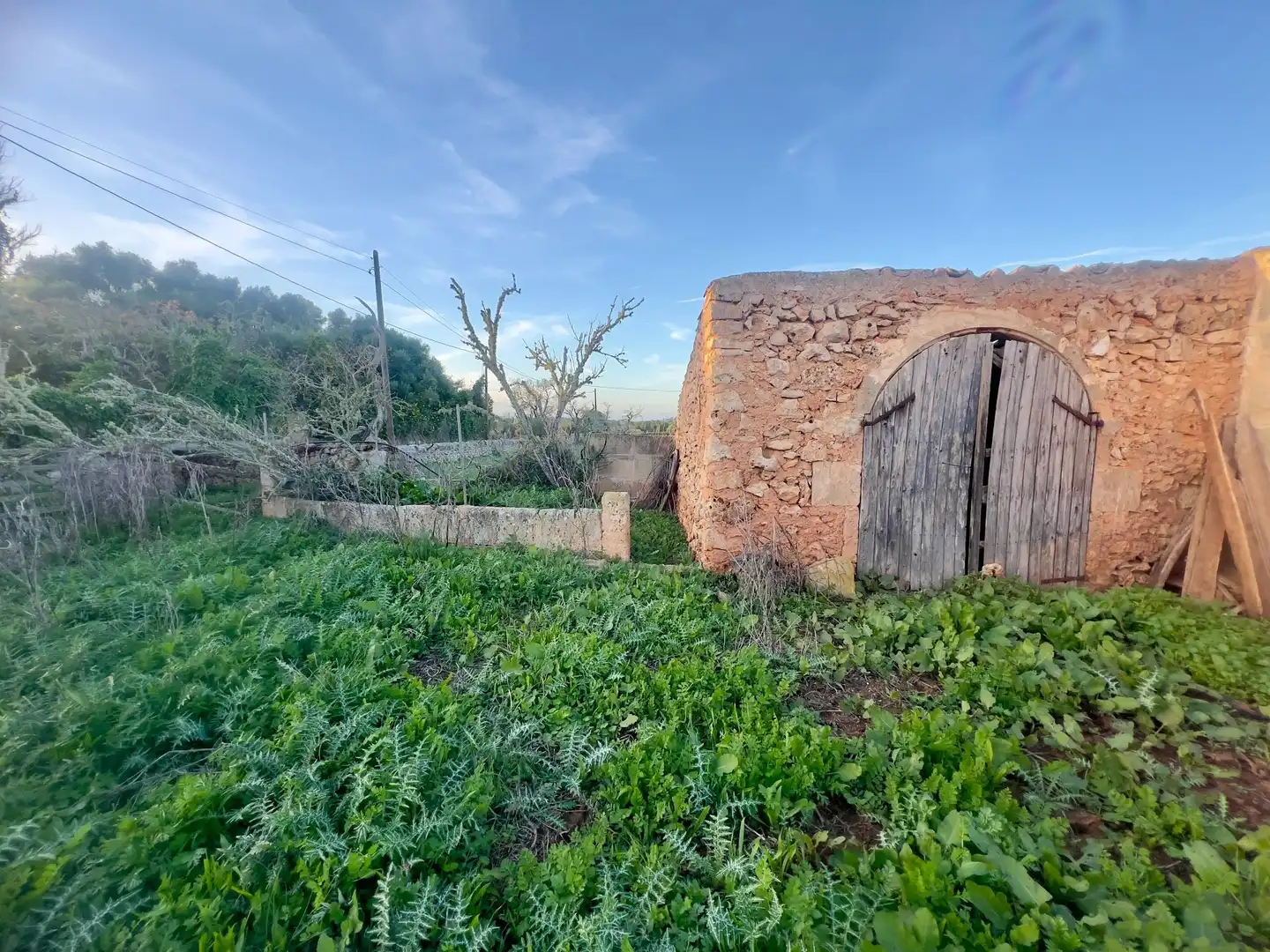 Rural land for sale in Cas Concos - Santanyí, imagen 17
