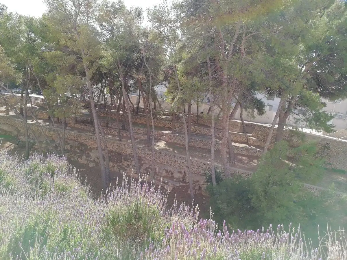 Garden of Residential for sale in La Ràpita