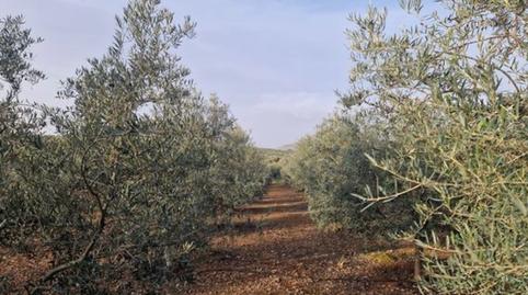 Foto 2 de Casa o xalet en venda a Humilladero, Málaga