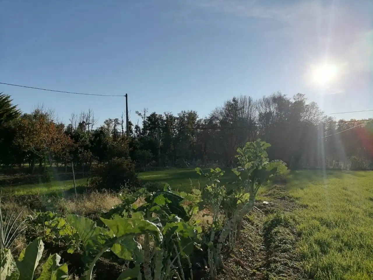 Residencial en venta en Ciudad Rodrigo