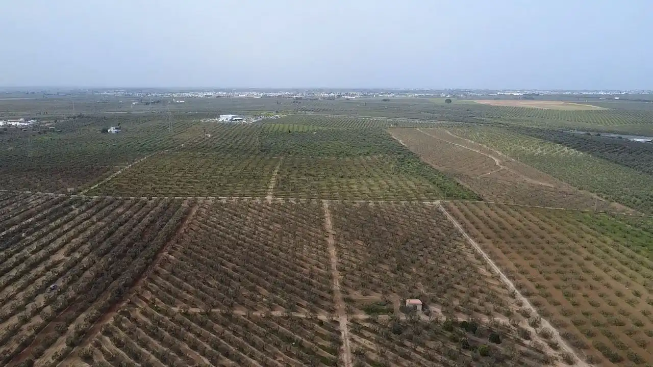 Terreno en venta en Bormujos