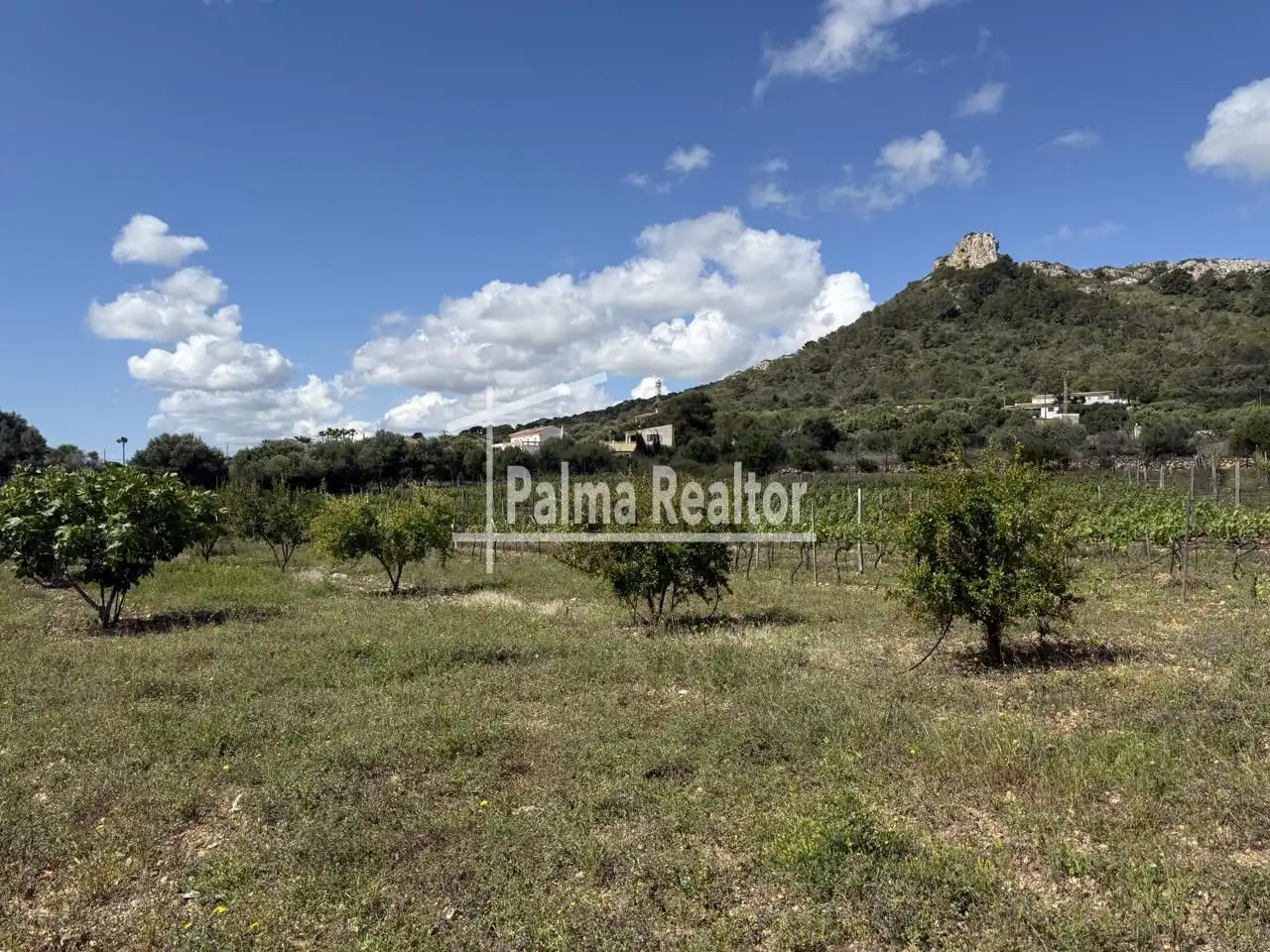Residential for sale in Son Servera