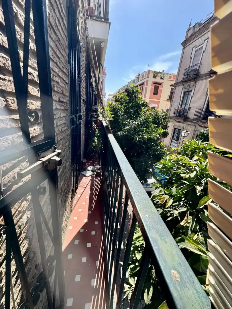 Flat with lift for sale in Baños, imagen 18