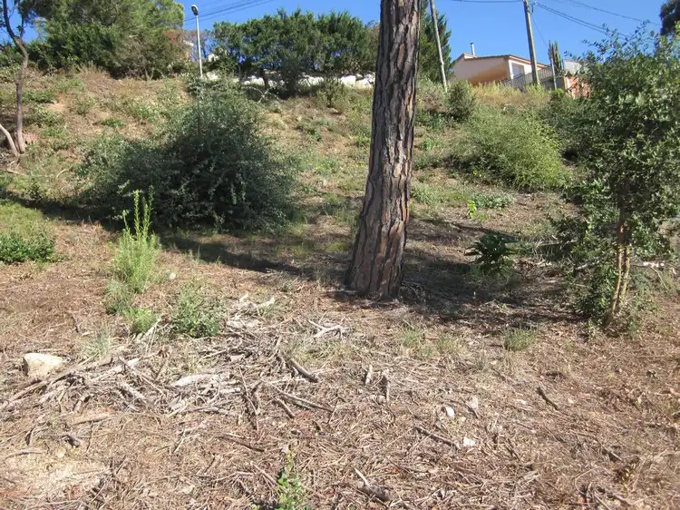 Terreny residencial en venda a Terrafortuna - Puig Ventós, imagen 5