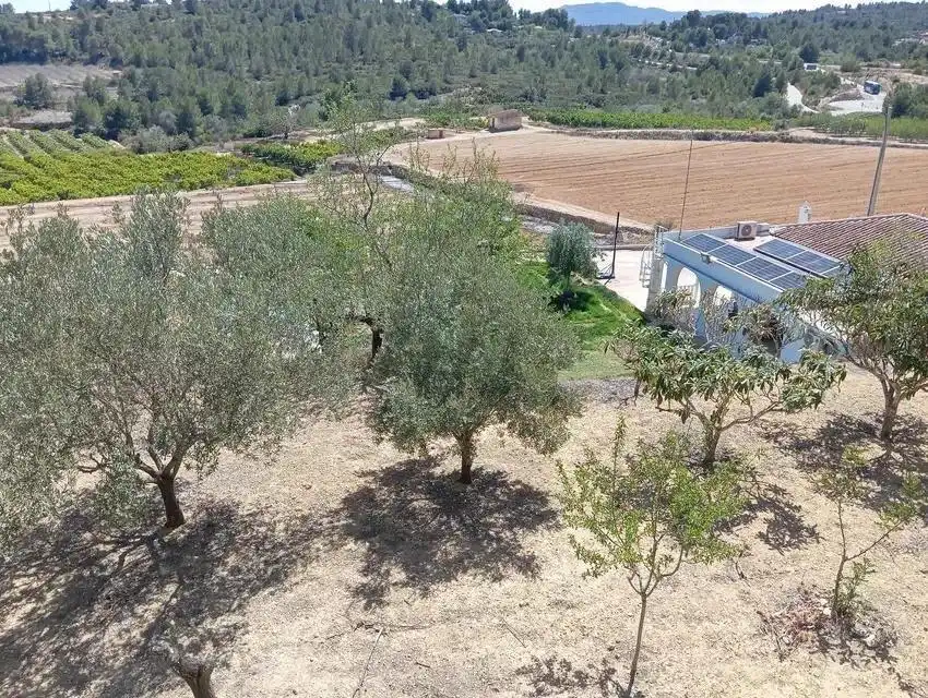 Casa o chalet en venta en Godelleta con Jardín privado, Terraza y Trastero