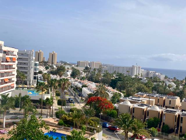 Estudio en Venta en Calle Venezuela, 13 en Playa de las Américas