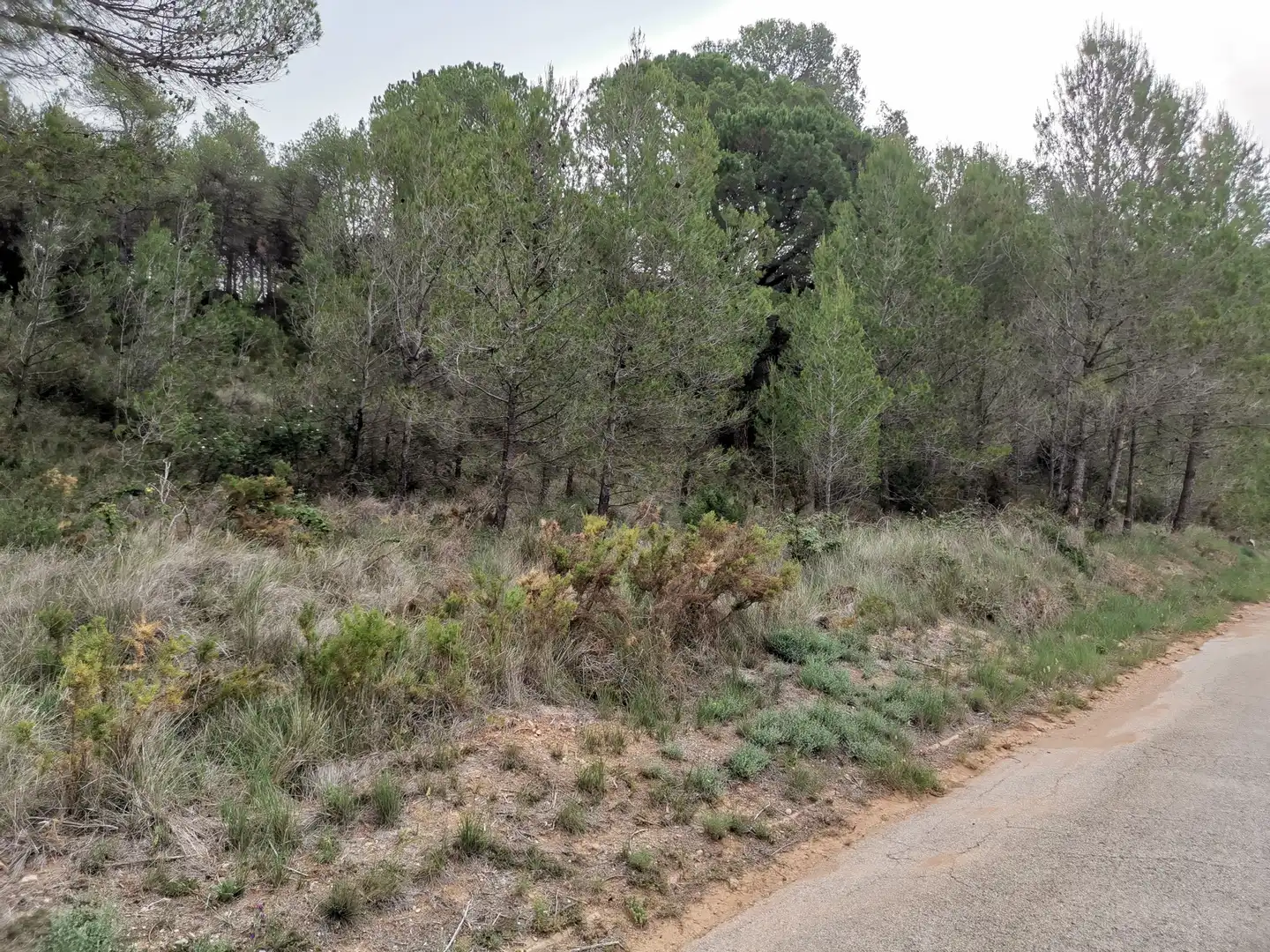 Residencial en venda en El Montmell