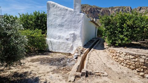 Vendemos Finca Rústica con Casa y Limoneros en Producción  Paseo del Río de Ulea