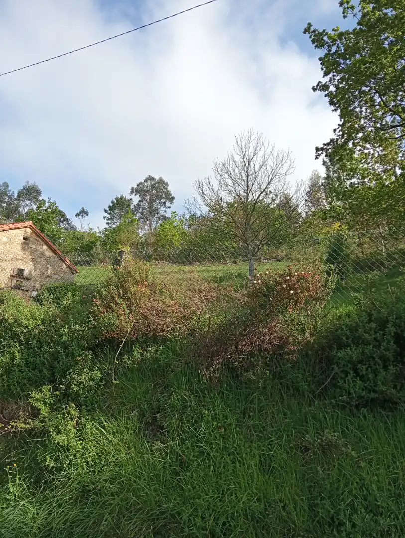 Finca rústica en venda en Coristanco