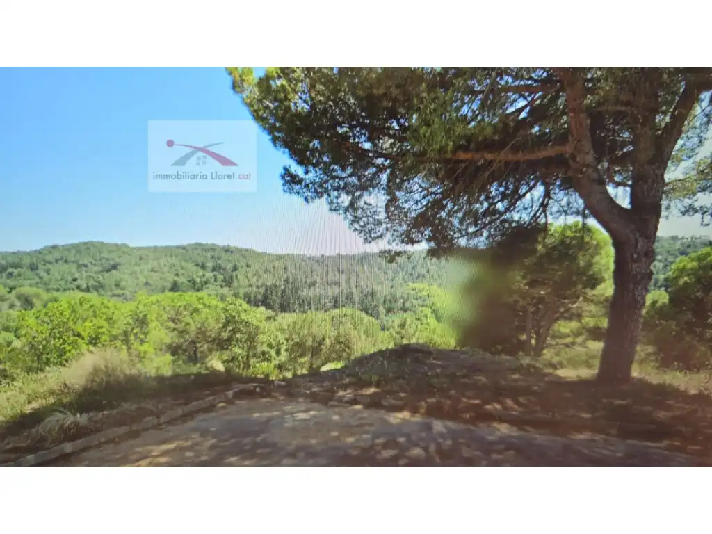 Terreno residencial en venta en Calle Estels 12, imagen 2