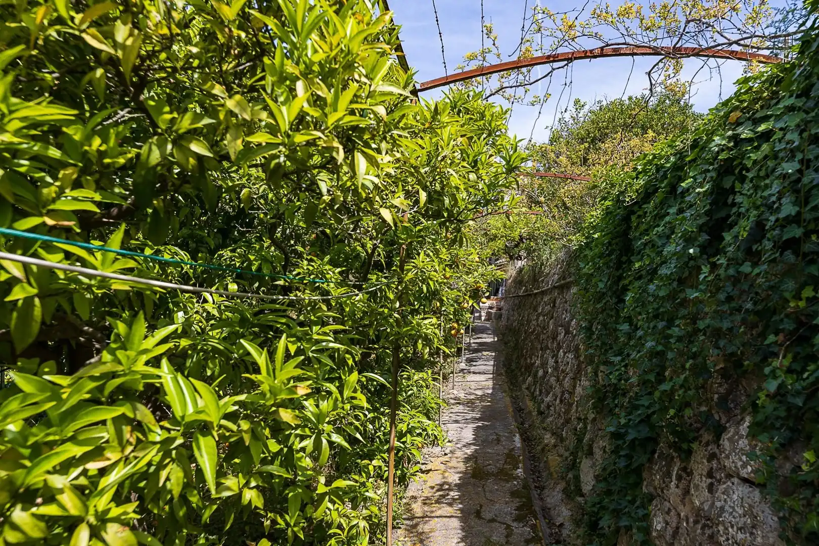 Vista exterior de Finca rústica en venda en Sóller amb Terrassa