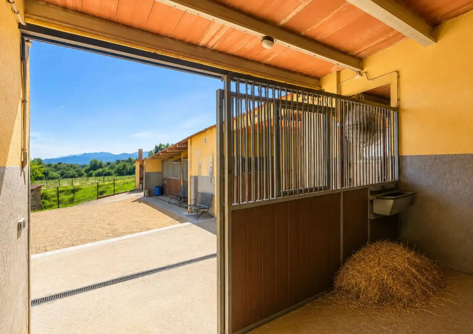 Vista exterior de Finca rústica en venda en Vilobí d'Onyar amb Jardí privat, Terrassa i Piscina