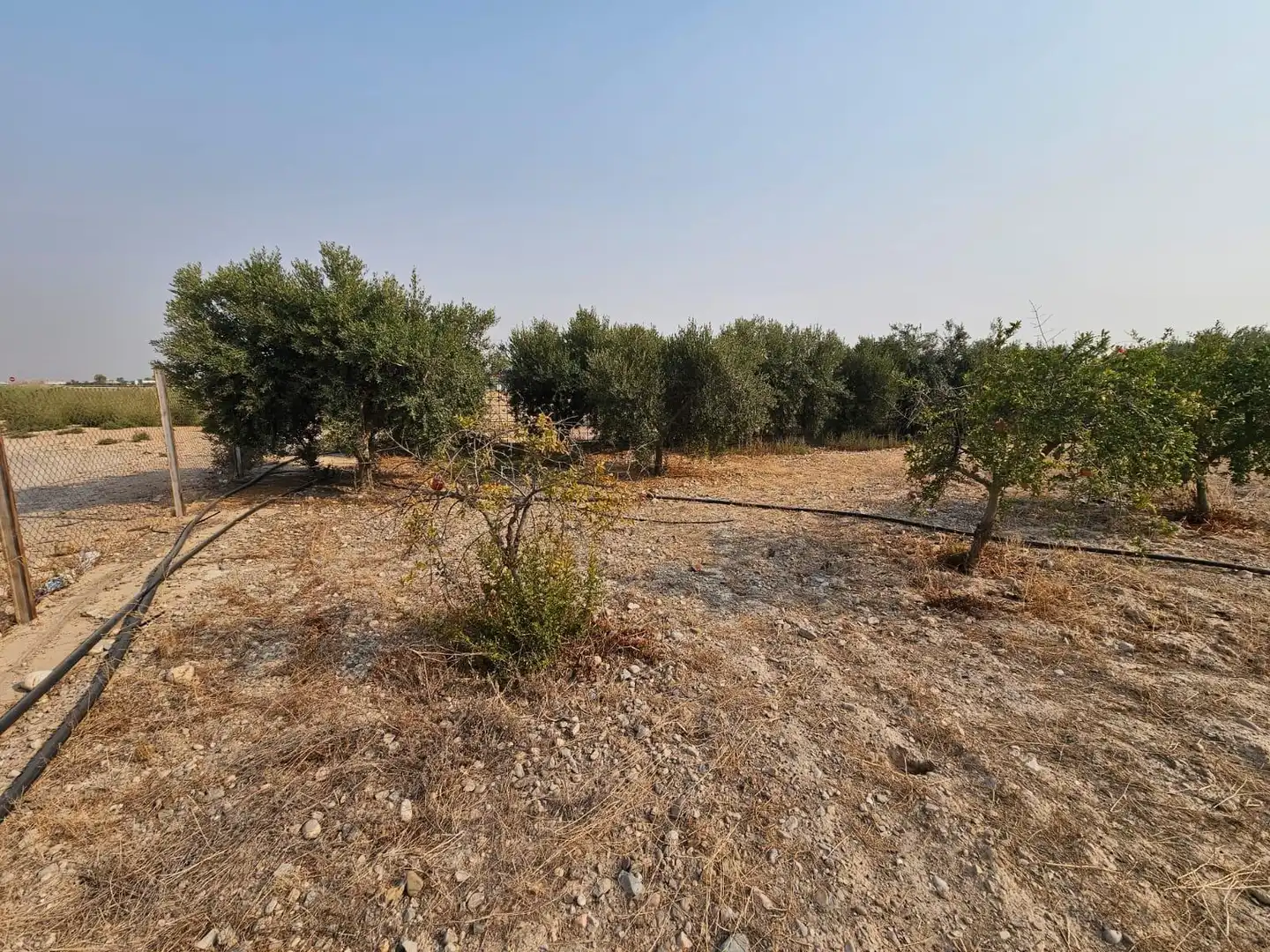 Finca rústica en venda en Murcia