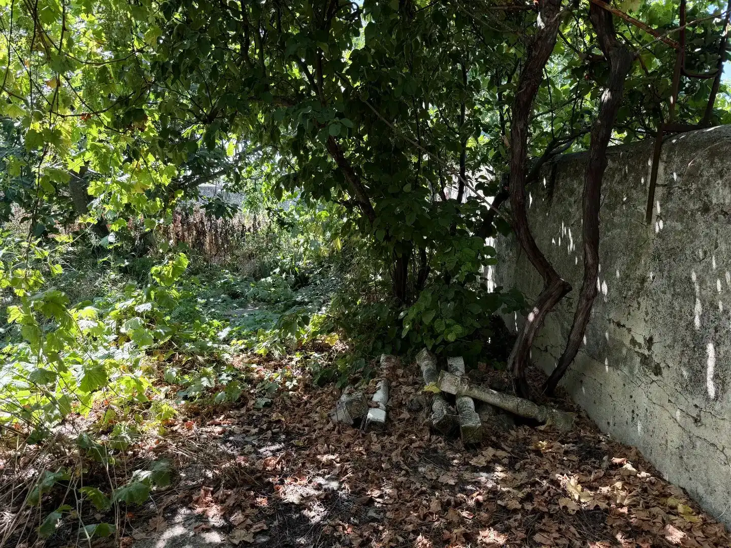 Finca rústica en venda en Calera y Chozas
