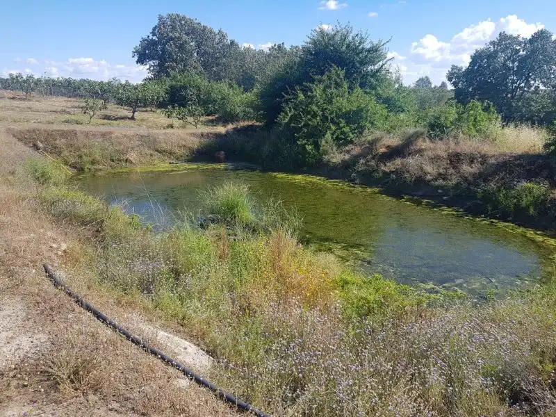 Chalet en venta en Torremenga, imagen 23