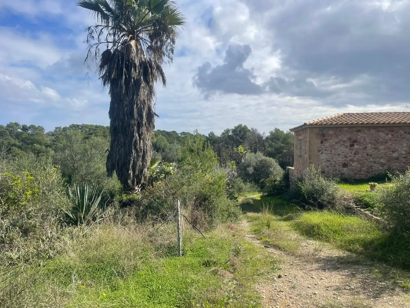 Casa amb jardí en venda a Manacor Centre, imagen 22