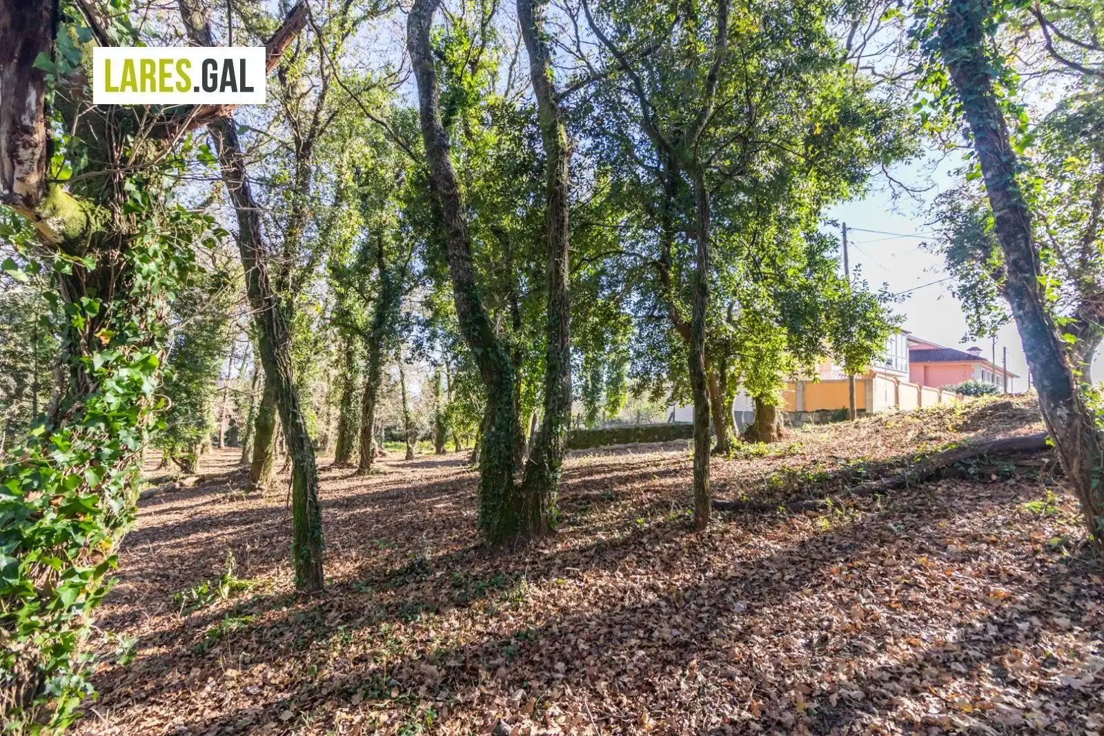 Lands and plots for sale in Rúa Ximeu, imagen 11