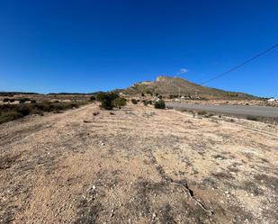 Industrial land for sale in Novelda