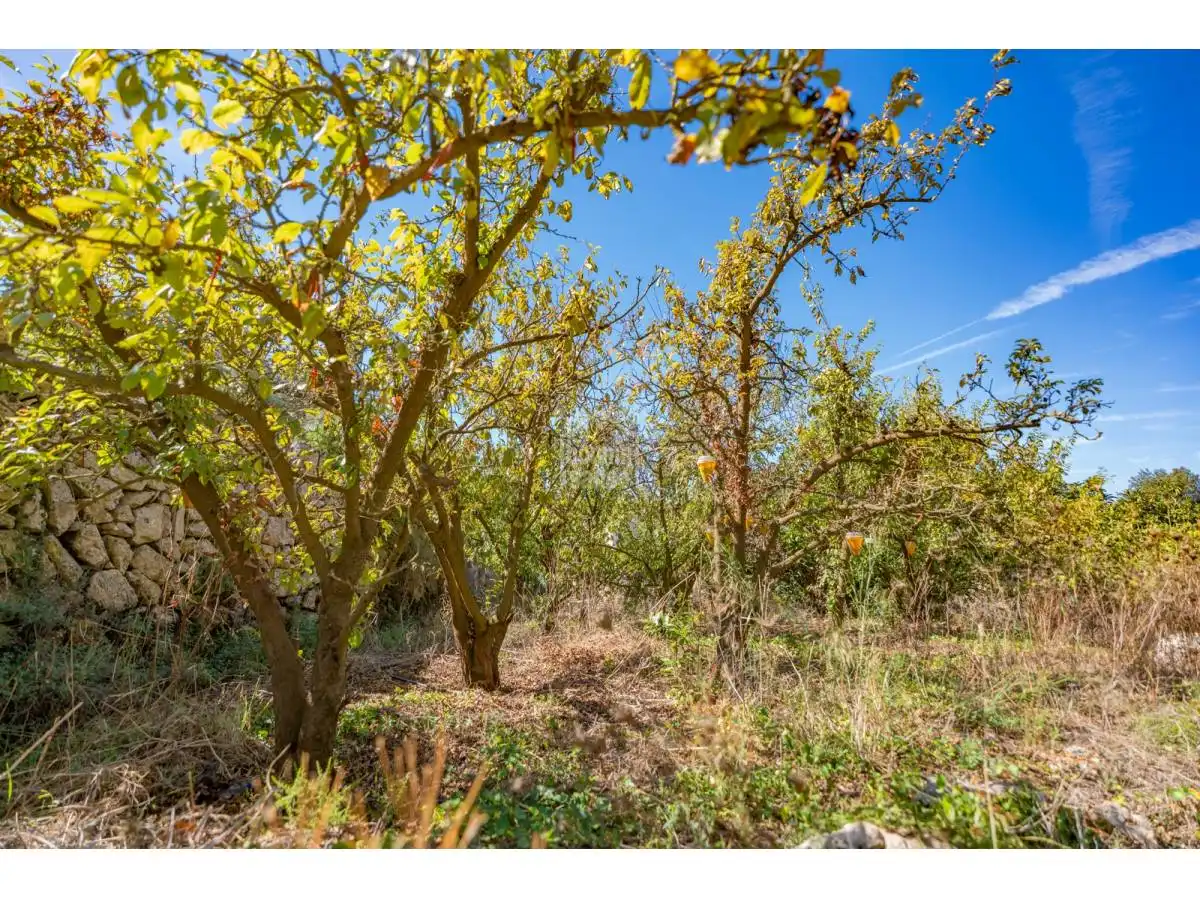 Maison rustique avec jardin à vendre à Alaior poble, imagen 26
