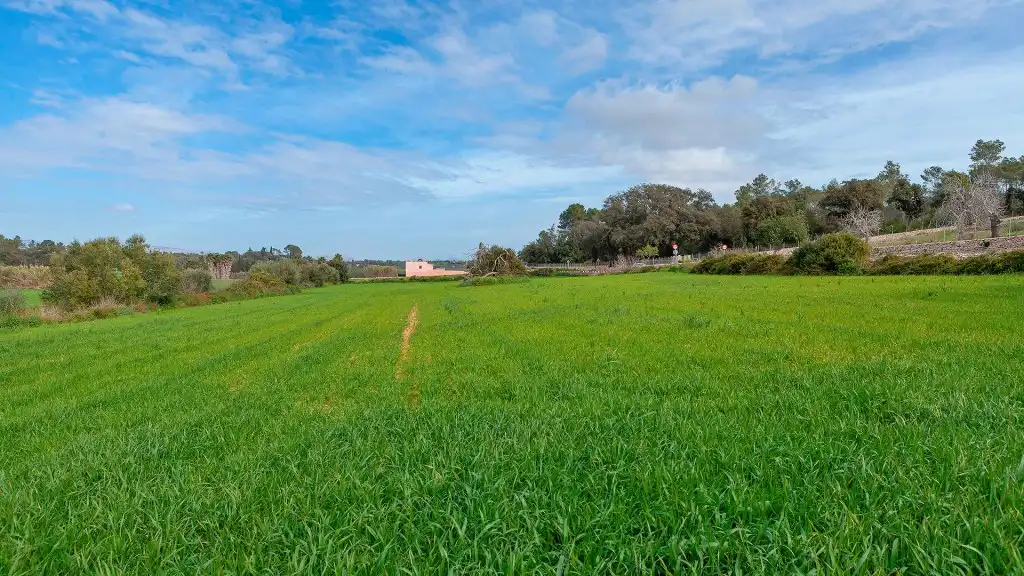 Rural land for sale in Muro, imagen 4