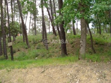 Terreno residencial en venta en Sils