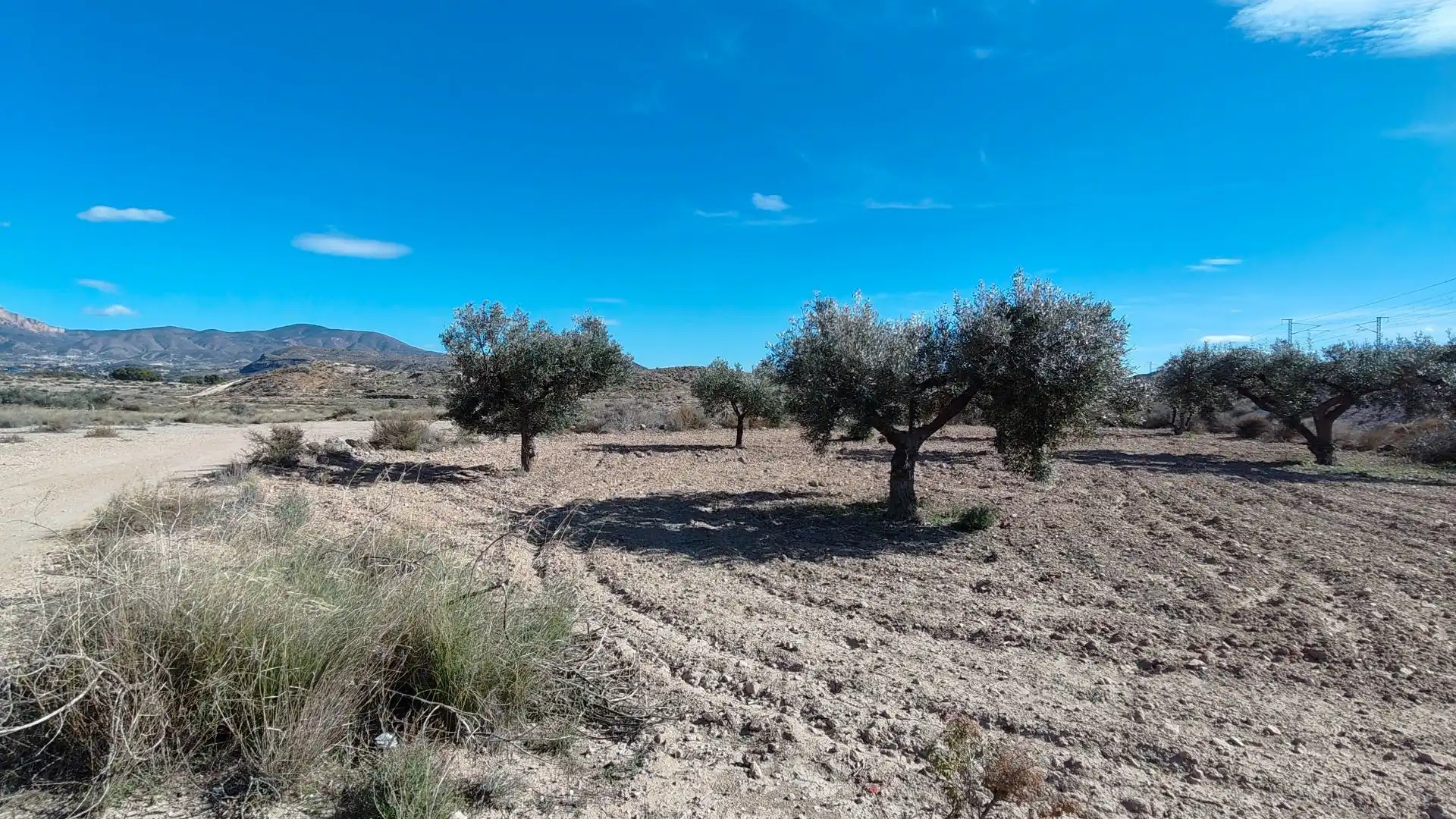 Terreno rustico in vendita a Campo Alto - Club de Campo, imagen 12
