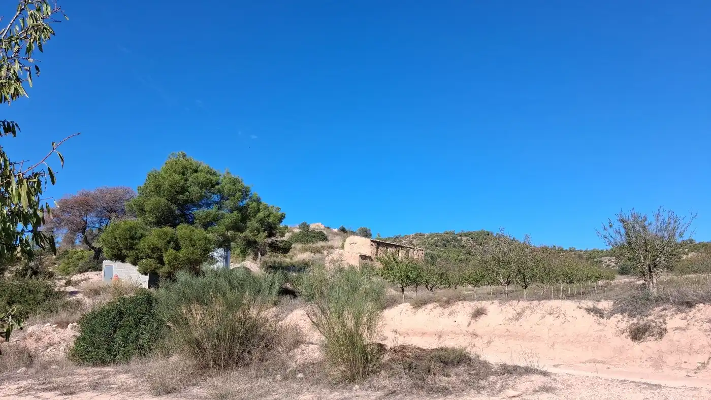 Maison rustique avec terrasse à vendre à C-233, imagen 35