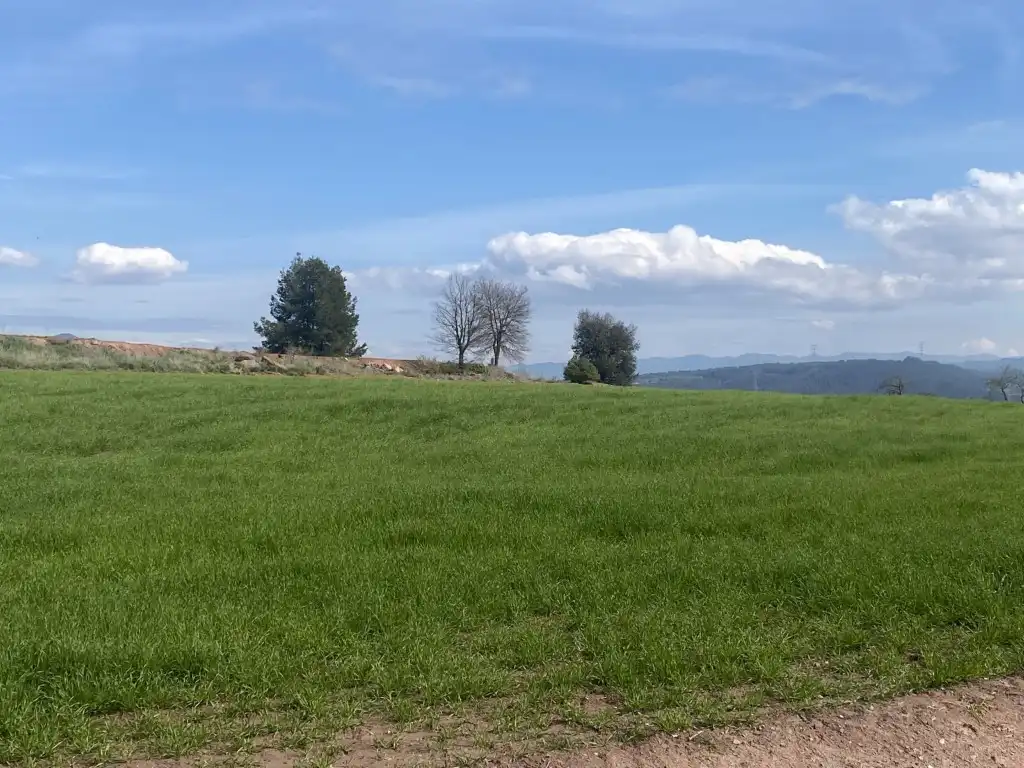 Terreny residencial en venda a Sant Fruitós de Bages, imagen 19