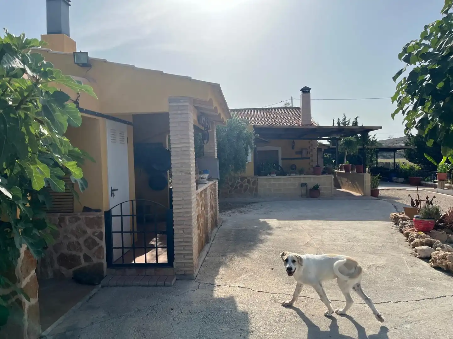 Vista exterior de Casa o chalet en venta en Murcia con Aire acondicionado, Calefacción y Terraza