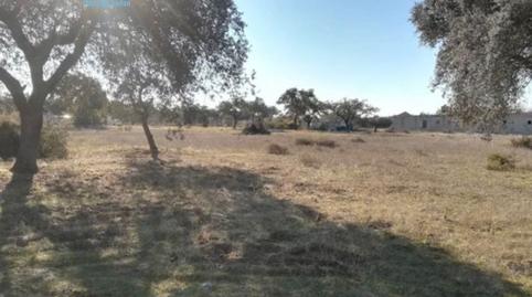 Photo 5 of Country house for sale in Camino de Botoa, Pedanías de Badajoz, Badajoz Capital