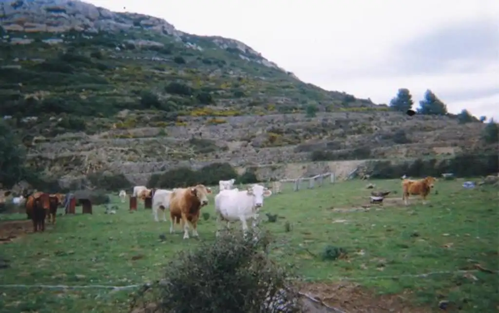 Casa o chalet en venta en N/A, -1, Llucena / Lucena del Cid
